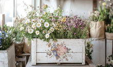 Saint Ouen IOD Transfer (8×12″ pad-8 sheets)