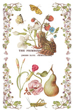 Primrose Isle IOD Transfer (8″x12″ pad-8 sheets )