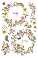 The Bramblewood Diaries IOD Transfer (8″x12″ pad-8 sheets )