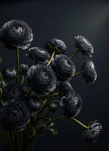 Midnight Ranunculus - Mint Decoupage Paper