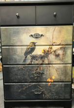 Bird Dresser