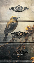 Bird Dresser