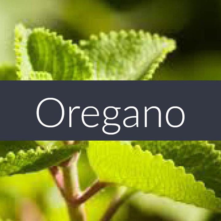 Finesse Oregano Essential Oil 10ml