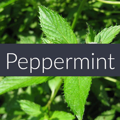 Finesse Peppermint Essential Oil 10ml