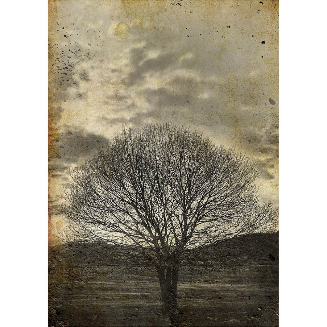 Sepia Tree Decoupage Papers