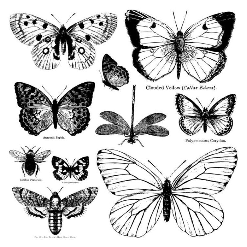 ‘Butterflies’ IOD Decor Stamp (12″X12″)