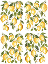 Lemon Drops IOD Image Transfer (12″X16″ PAD -4 SHEETS)